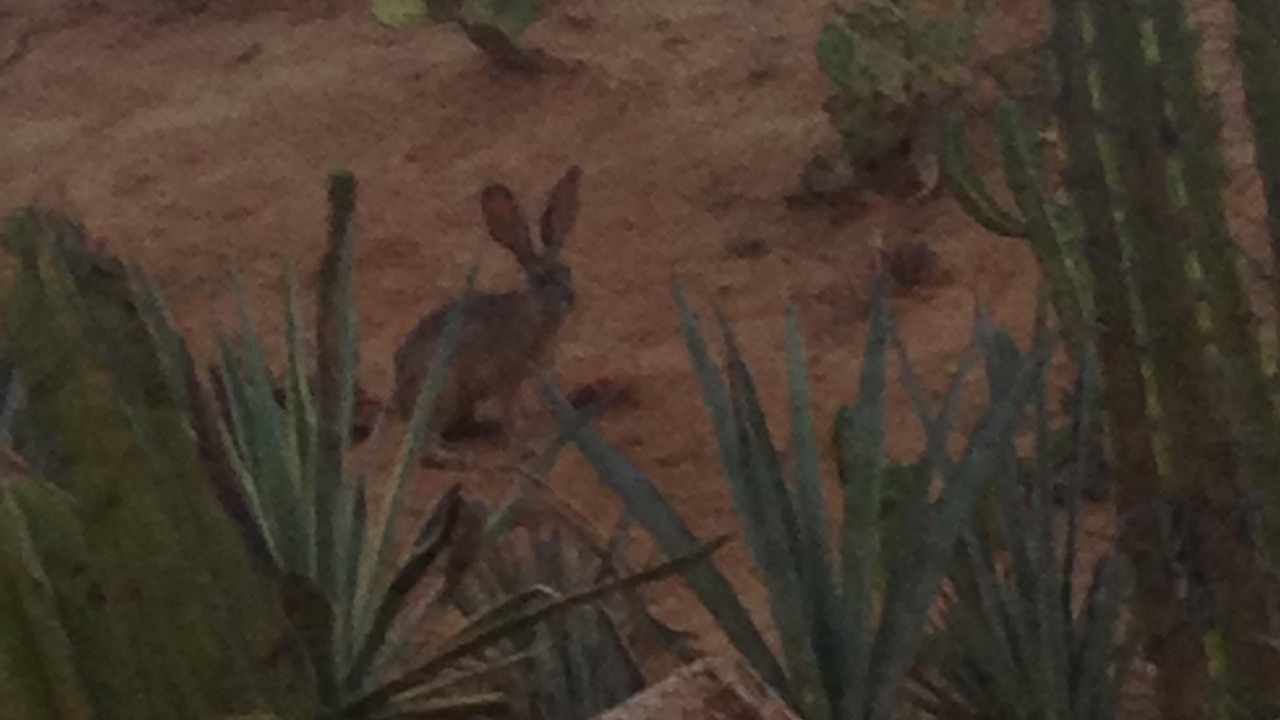 Photo of Outdoor in Pedregal