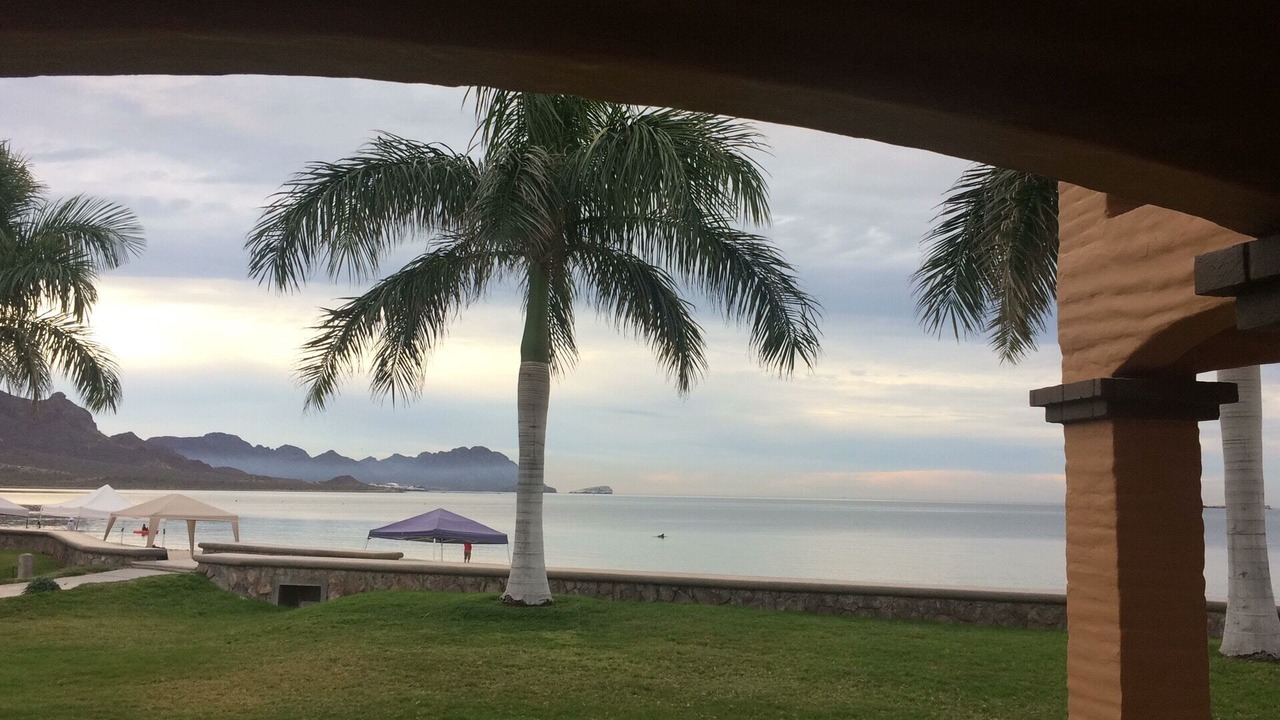 Photo of Outdoor in San Carlos