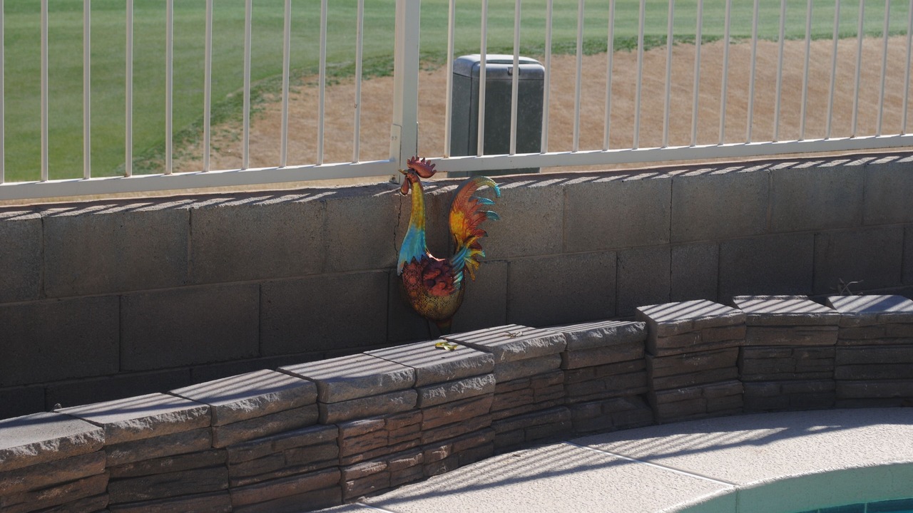 Photo of Outdoor in Coldwater Springs