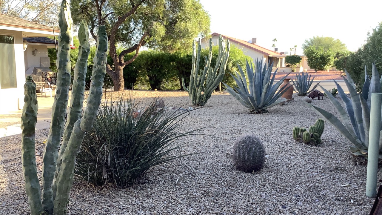 Photo of Outdoor in Sun City West