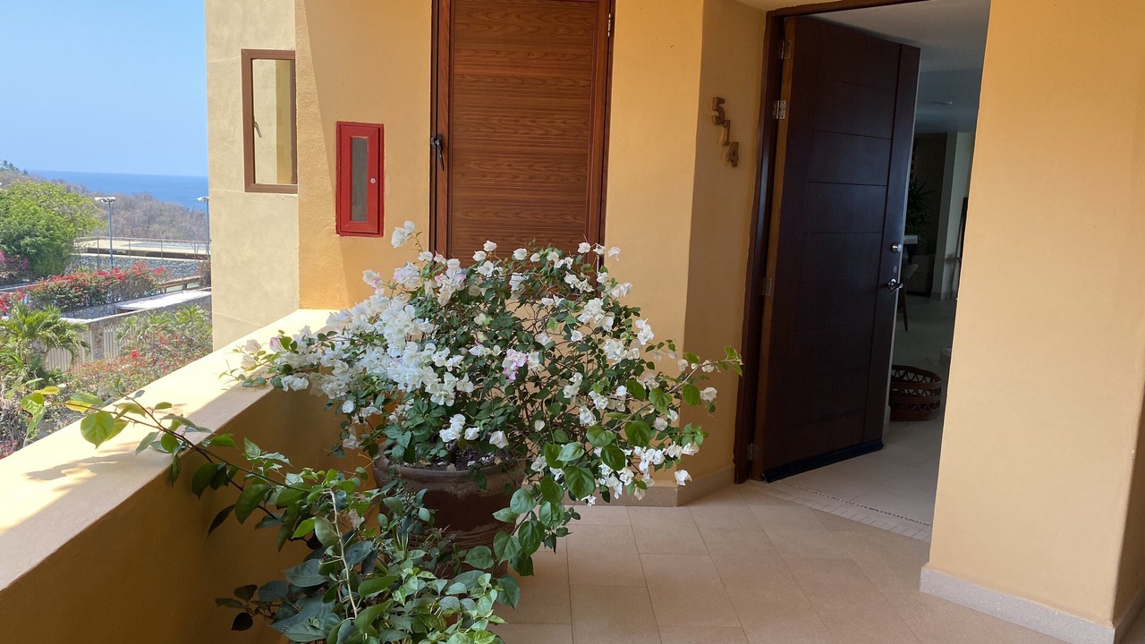 Photo of Outdoor in Ixtapa