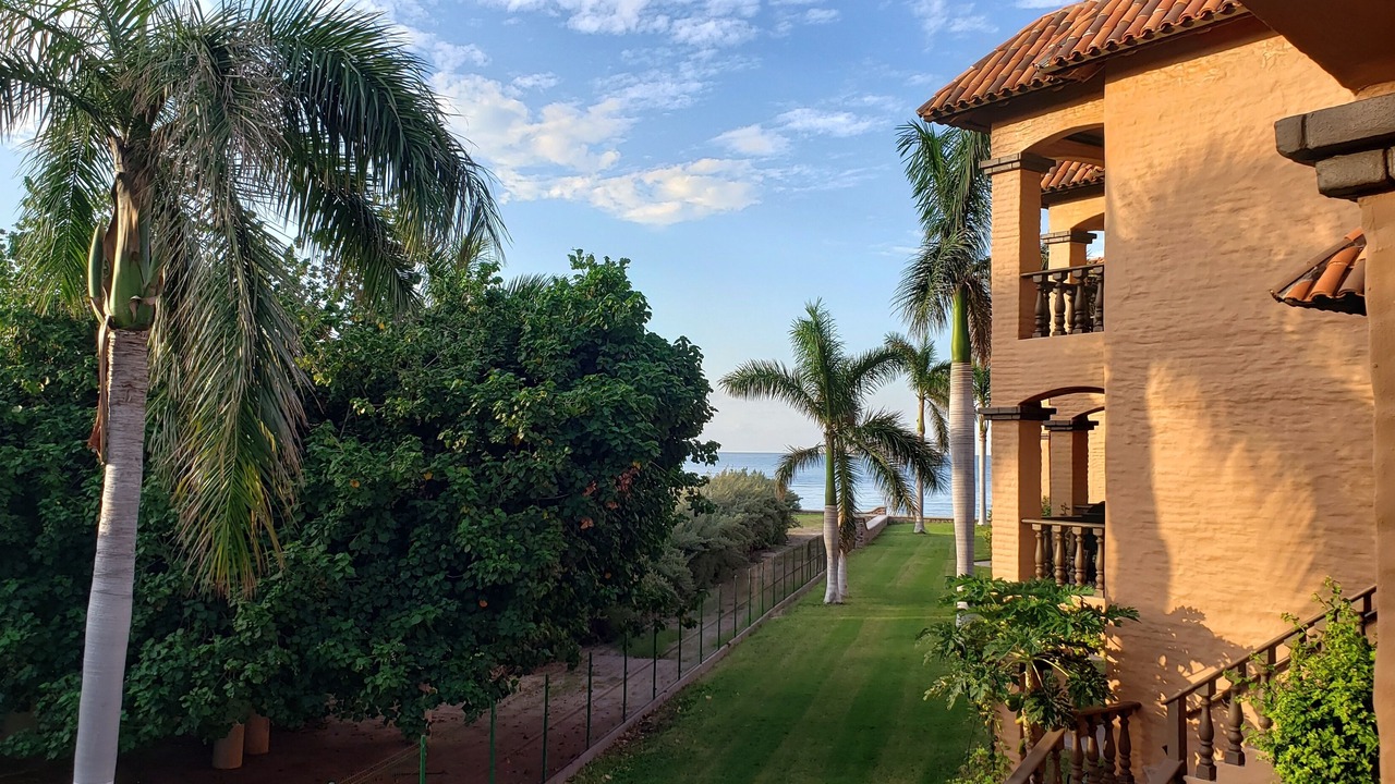 Photo of Outdoor in San Carlos