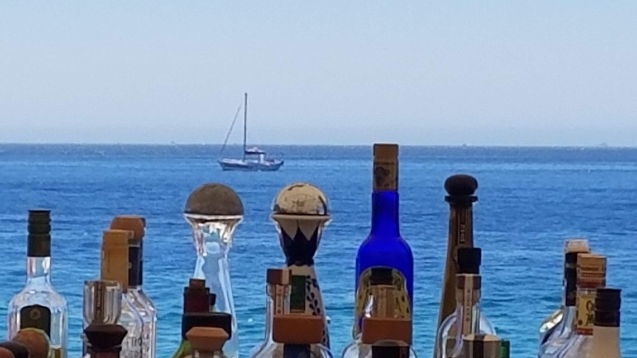 Photo of Others in Marina