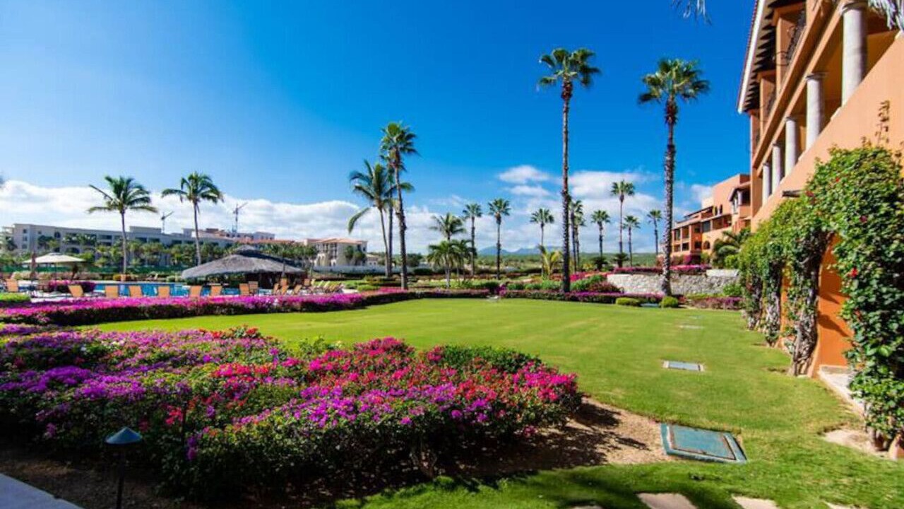 Photo of Others in San Jose del Cabo