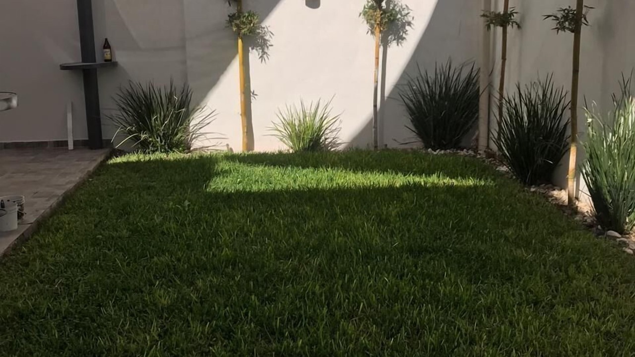 Photo of Outdoor in La Noria