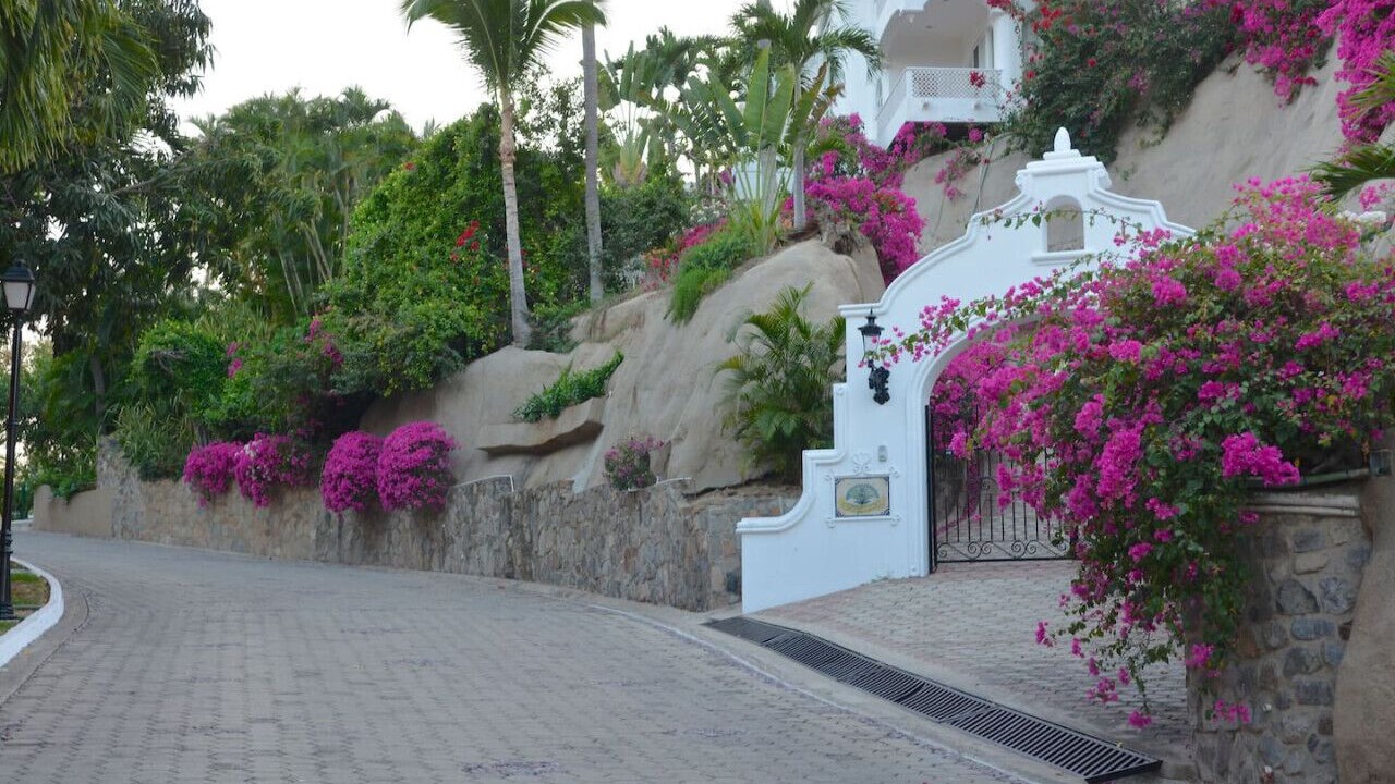 Photo of Others in Peninsulas de Santiago