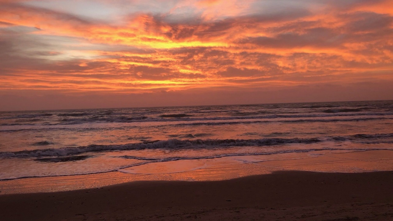 Photo of Others in South Padre Island