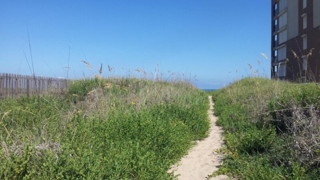 Photo of Outdoor in South Padre Island