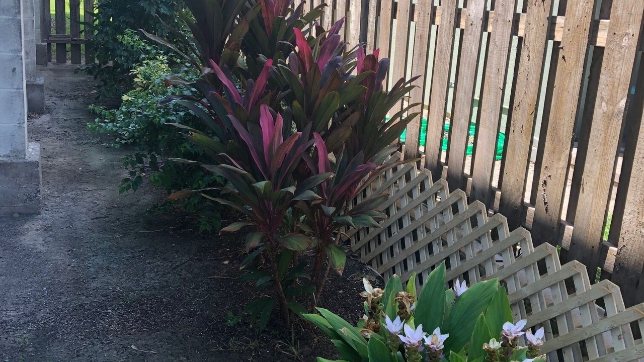 Photo of Outdoor in South Padre Island