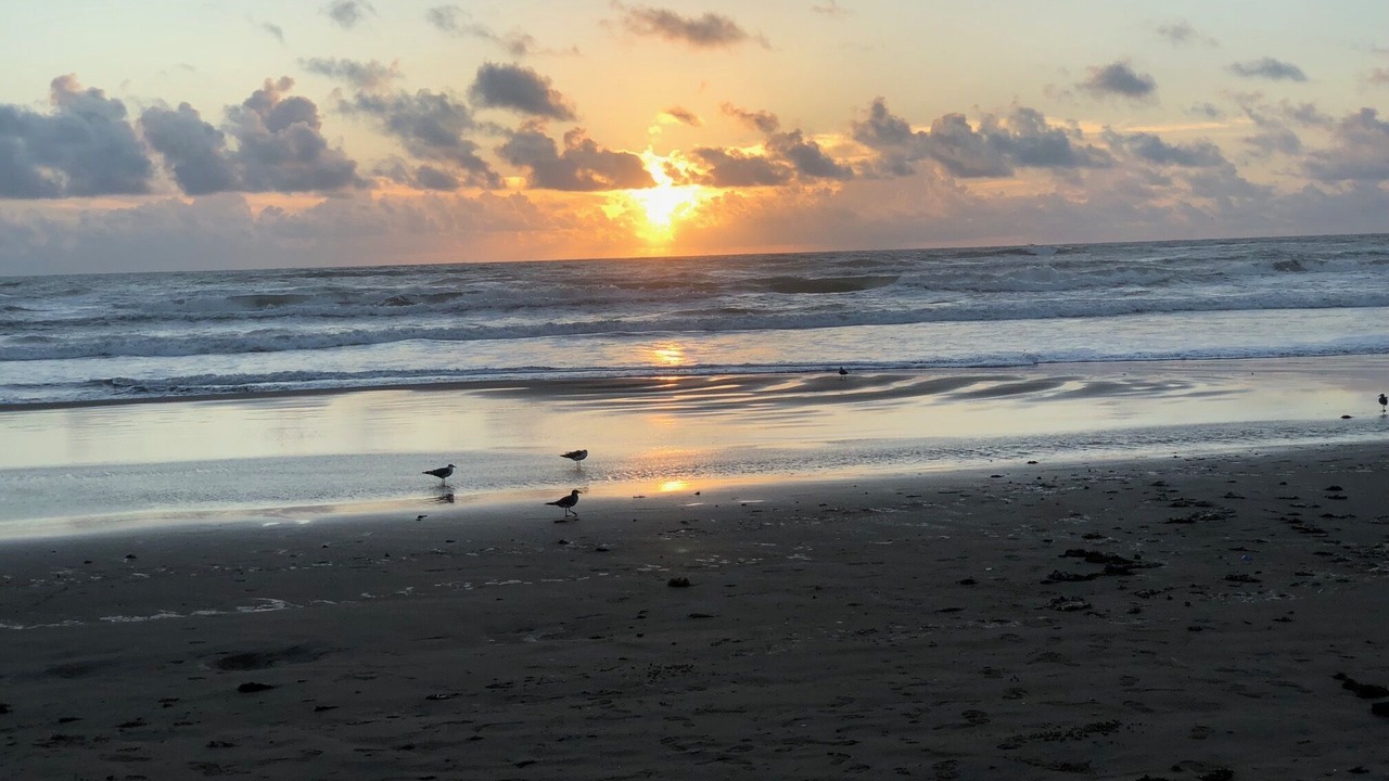 Photo of Others in South Padre Island