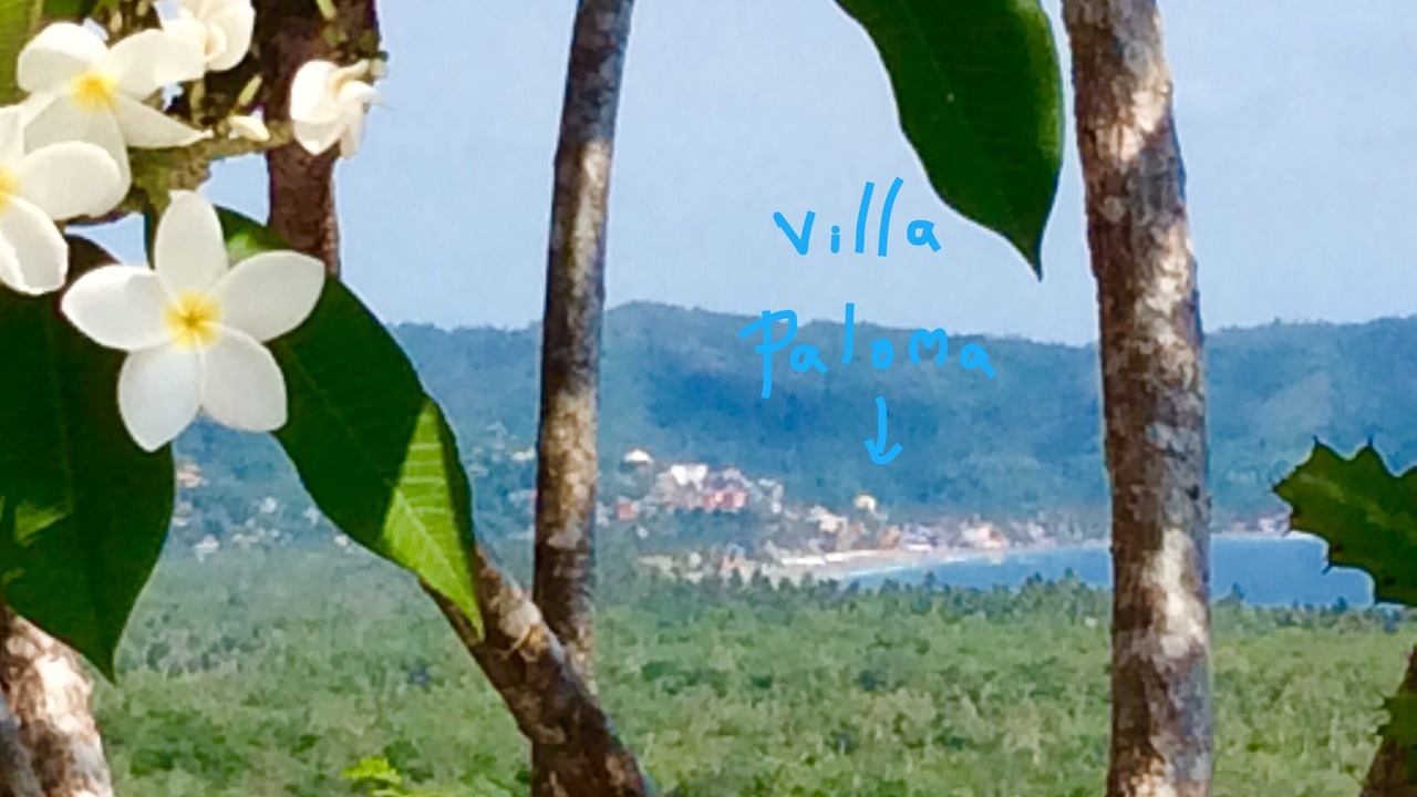 Photo of Others in La Manzanilla