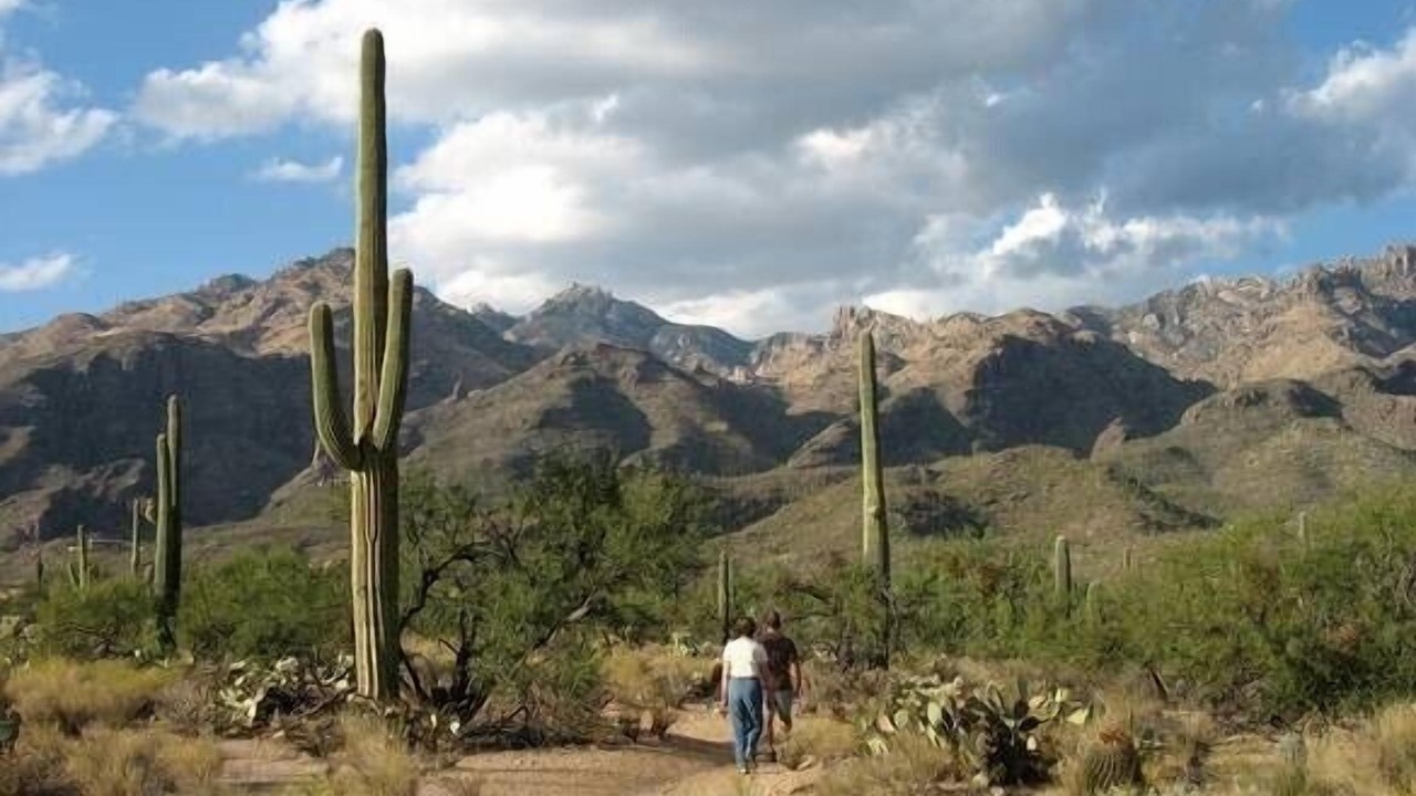 Photo of Others in Fox Crossing