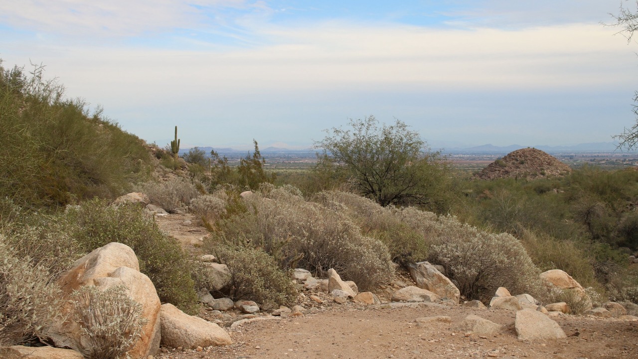 Photo of Others in Sierra Verde