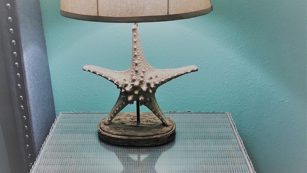 Photo of Others in South Padre Island