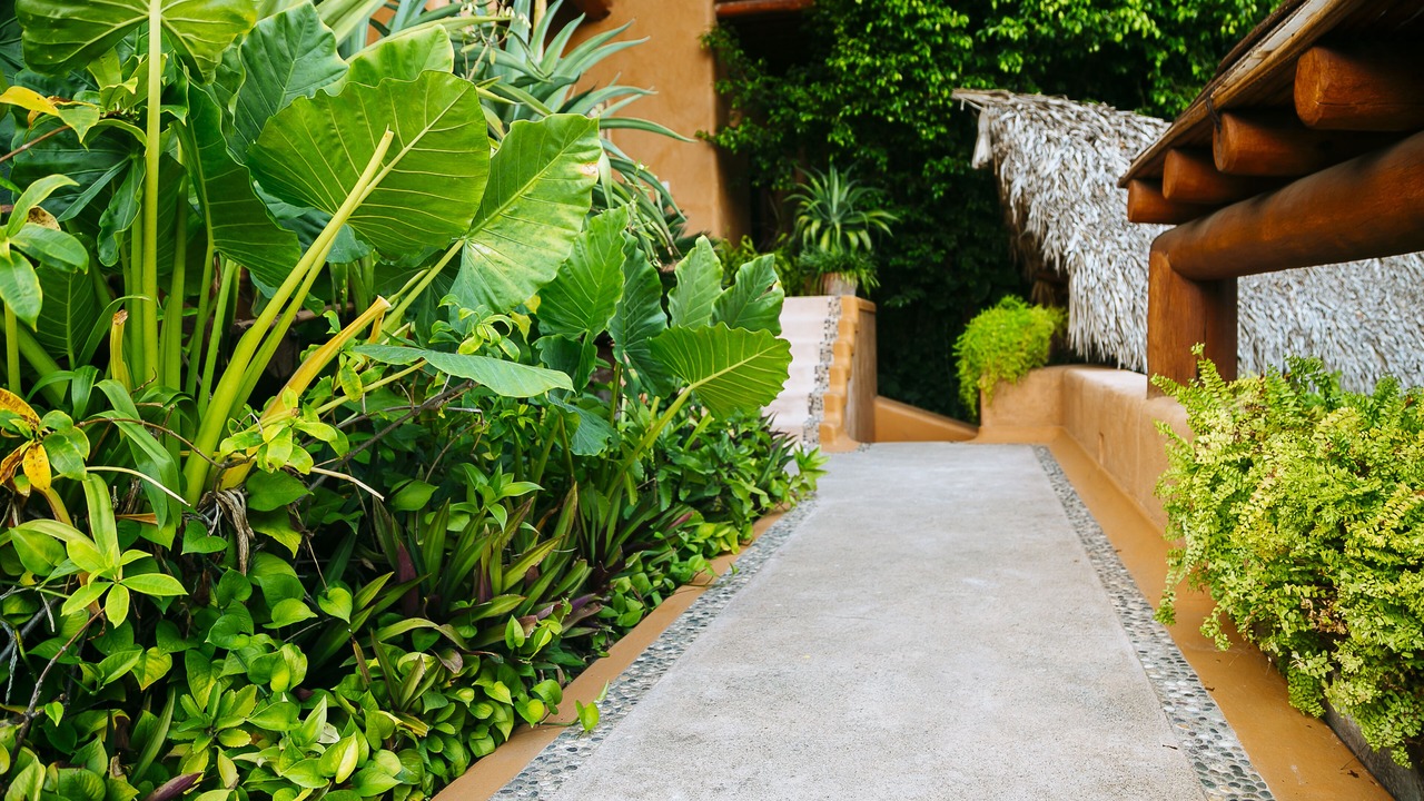 Photo of Outdoor in Zihuatanejo