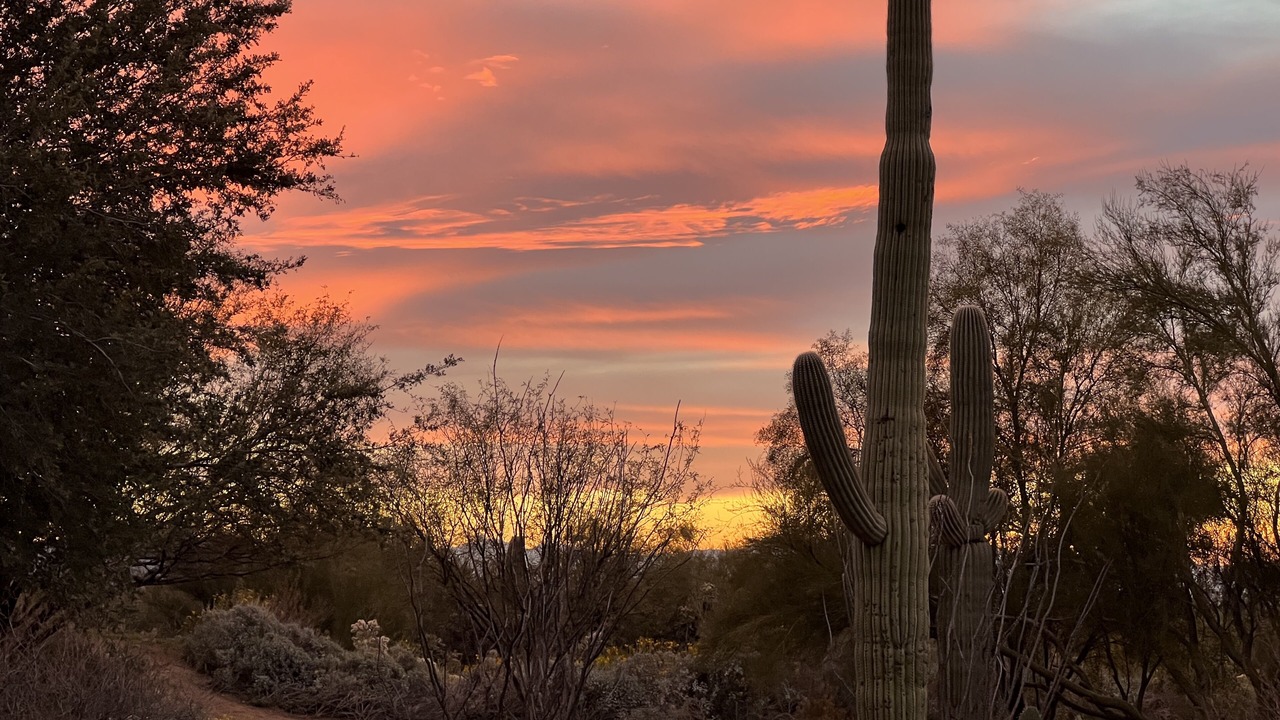 Photo of Outdoor in Dove Mountain