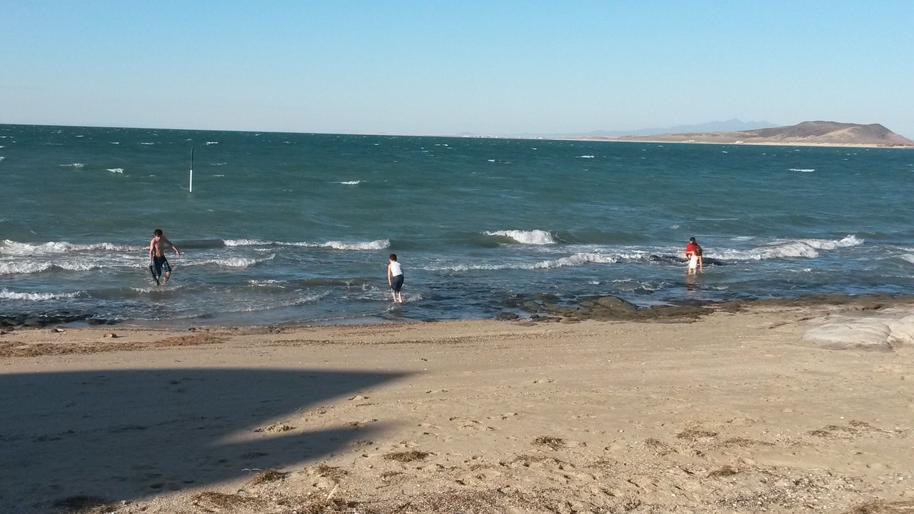 Photo of Others in Cholla Bay