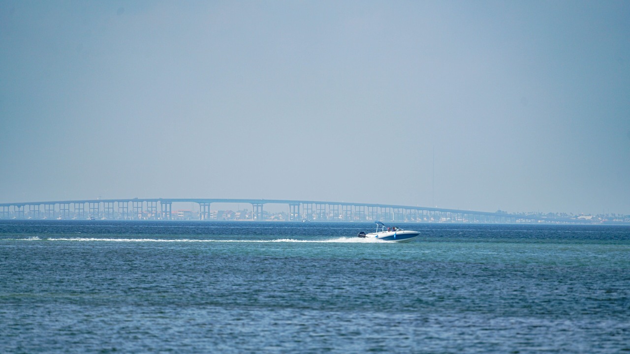 Photo of Others in South Padre Island