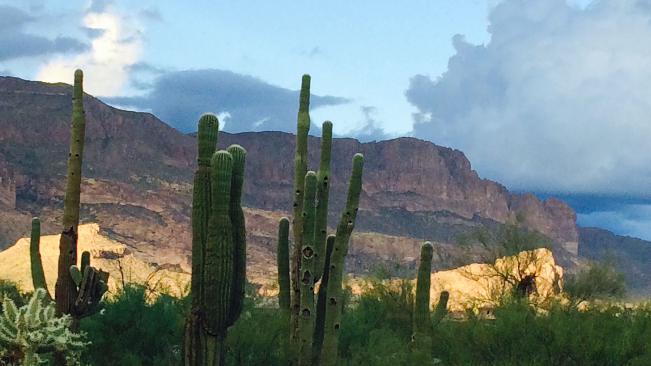 Photo of Outdoor in Gold Canyon