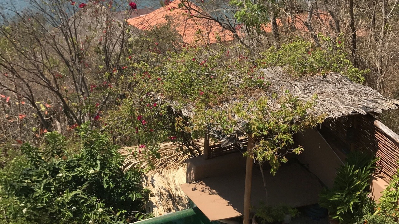 Photo of Outdoor in Zihuatanejo