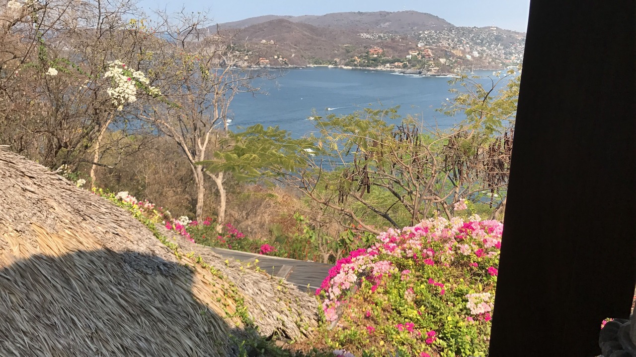 Photo of Others in Zihuatanejo