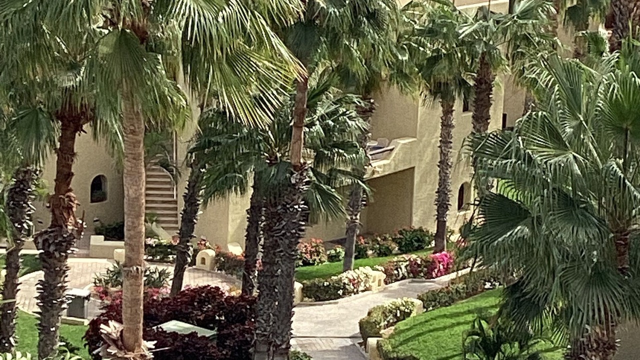 Photo of Outdoor in Cabo Bello