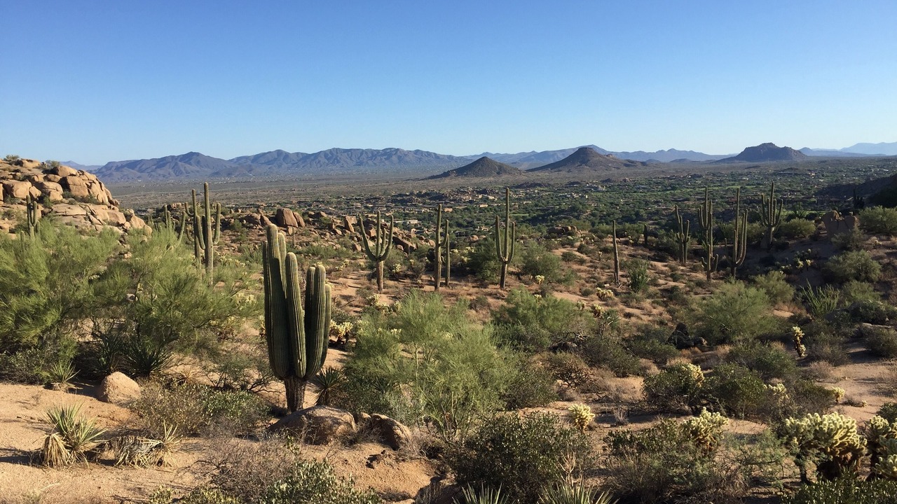 Photo of Outdoor in Paradise Valley Village