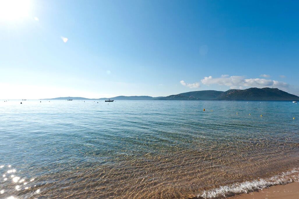 Photo of Others in Porto-Vecchio