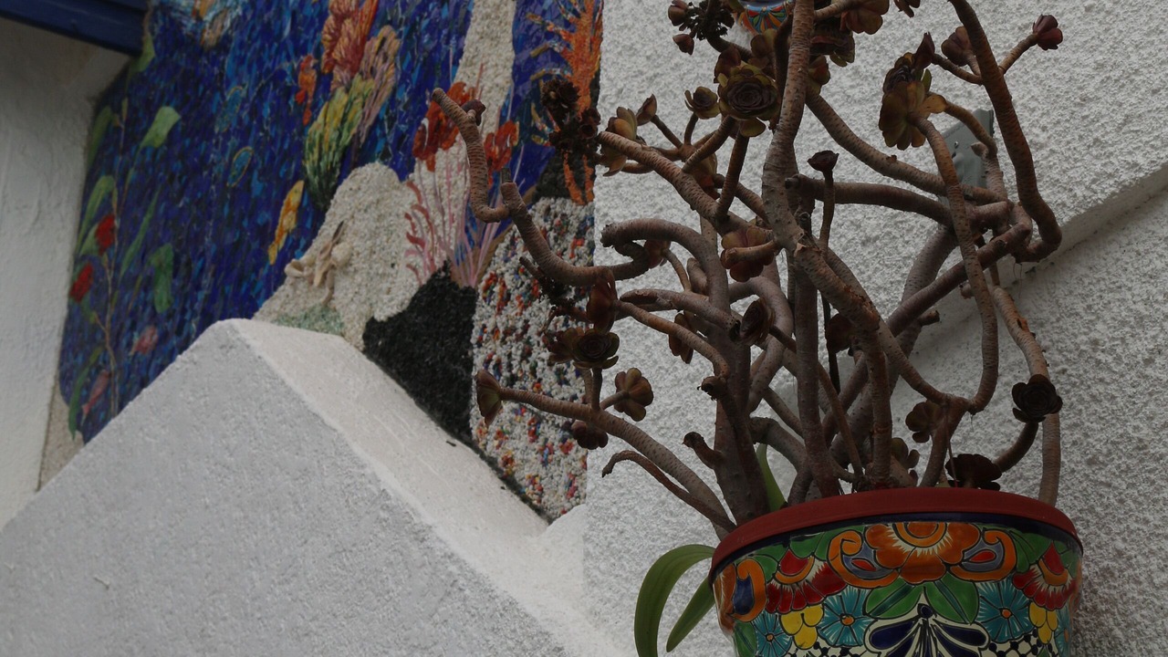 Photo of Outdoor in San Antonio del Mar
