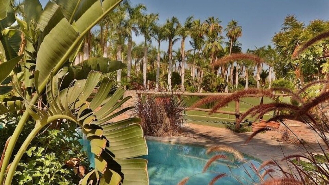 Photo of Others in Todos Santos