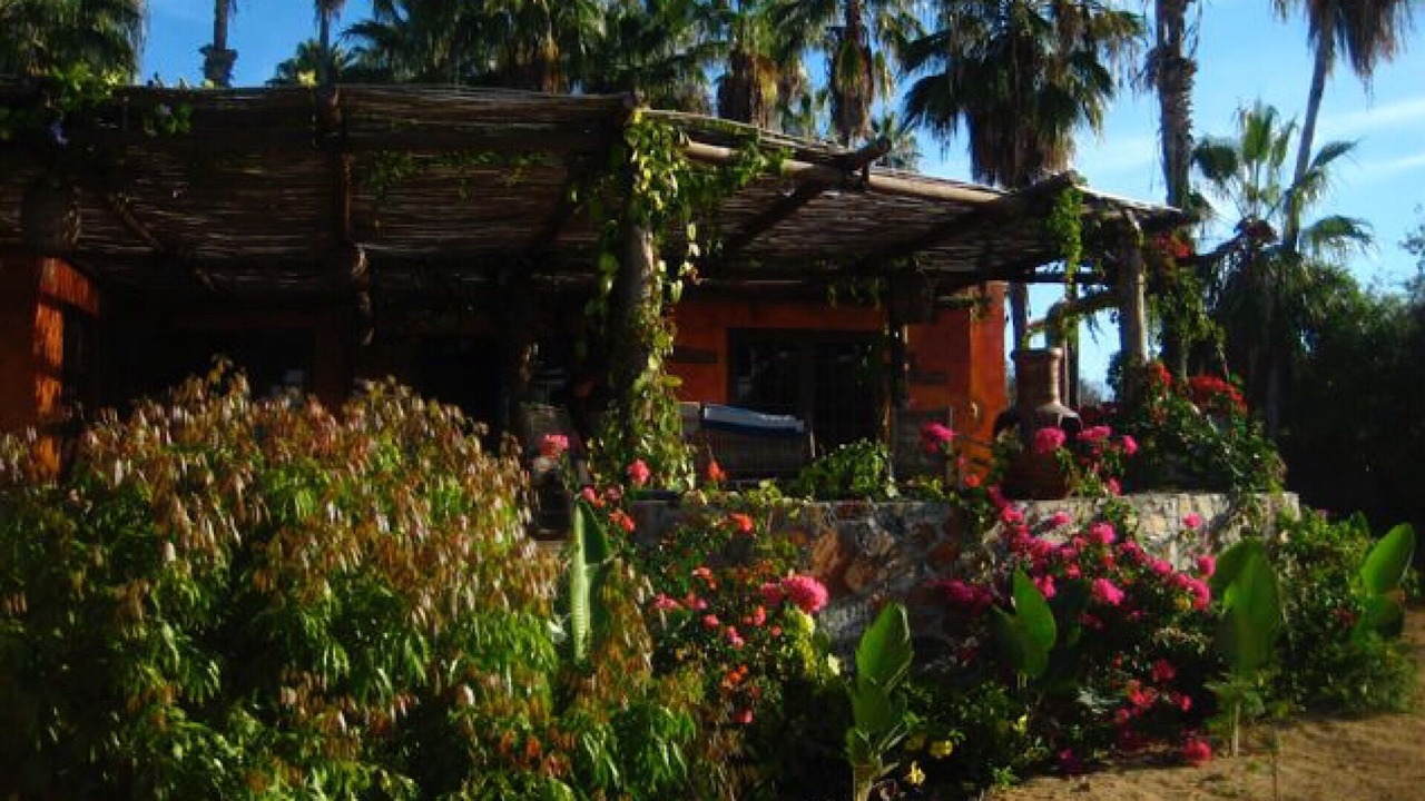 Photo of Others in Todos Santos