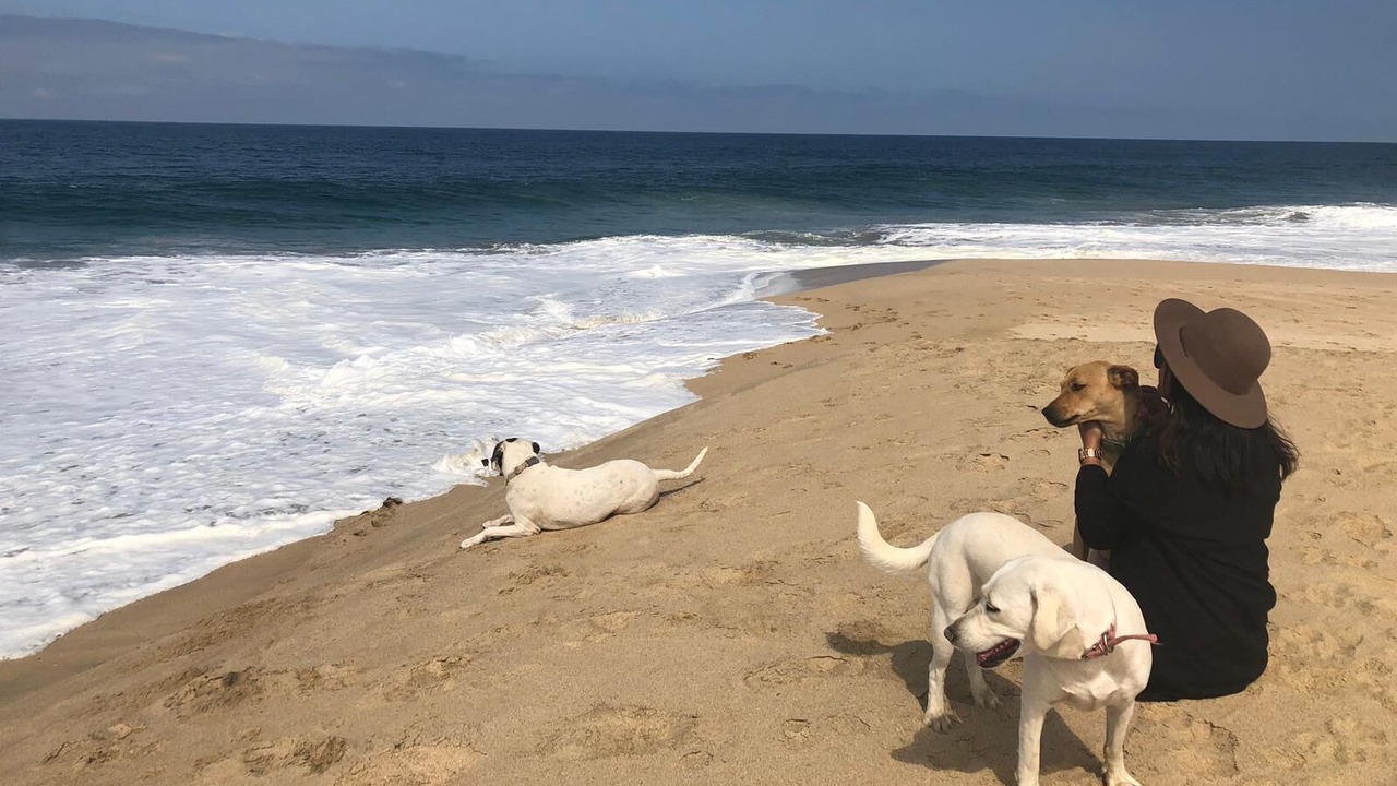 Photo of Others in Todos Santos