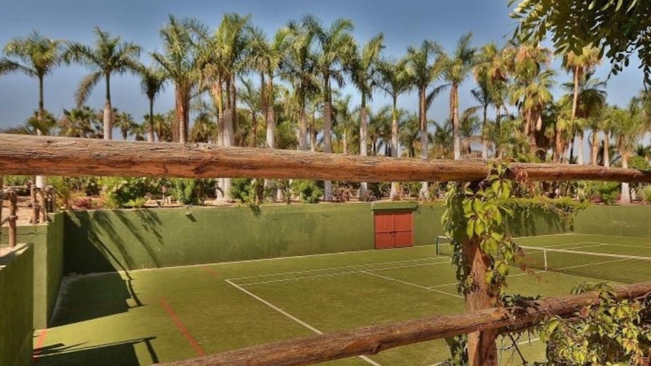 Photo of Others in Todos Santos