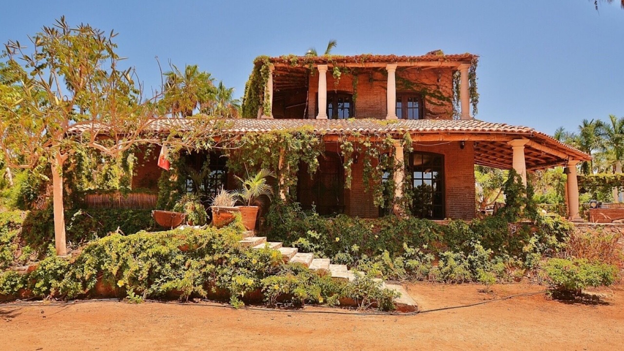 Photo of Others in Todos Santos