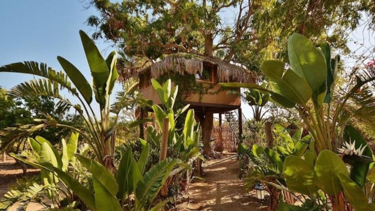 Photo of Bathroom in Todos Santos