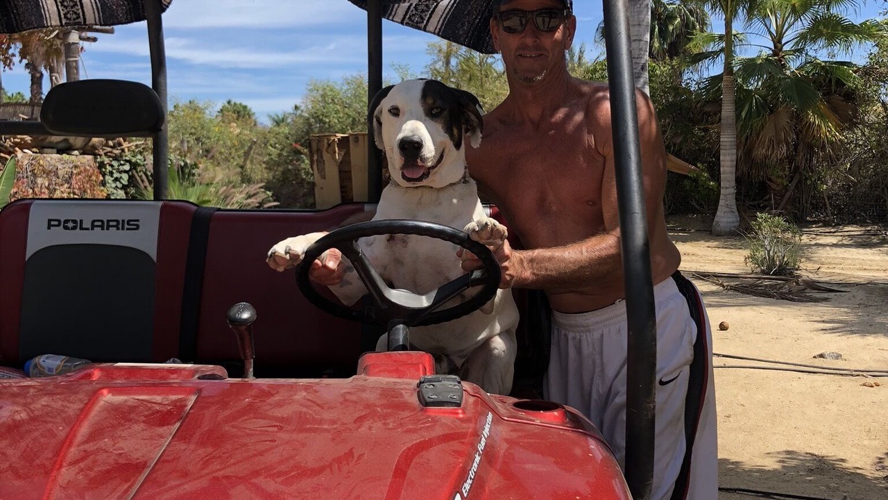 Photo of Others in Todos Santos