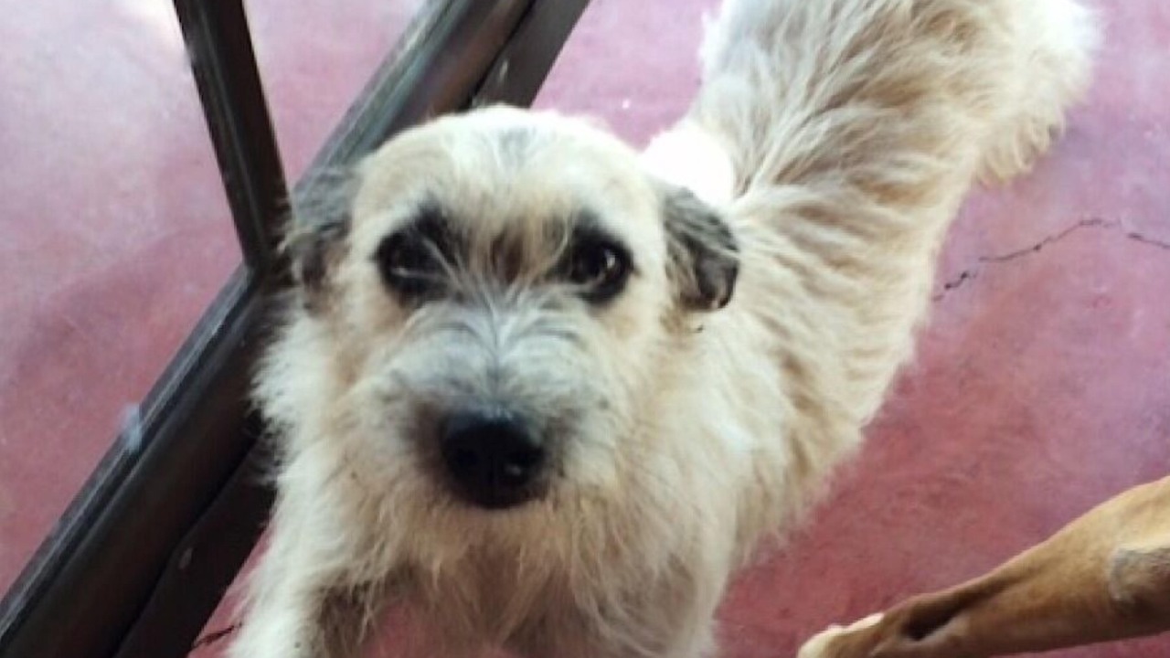 Photo of Others in Todos Santos