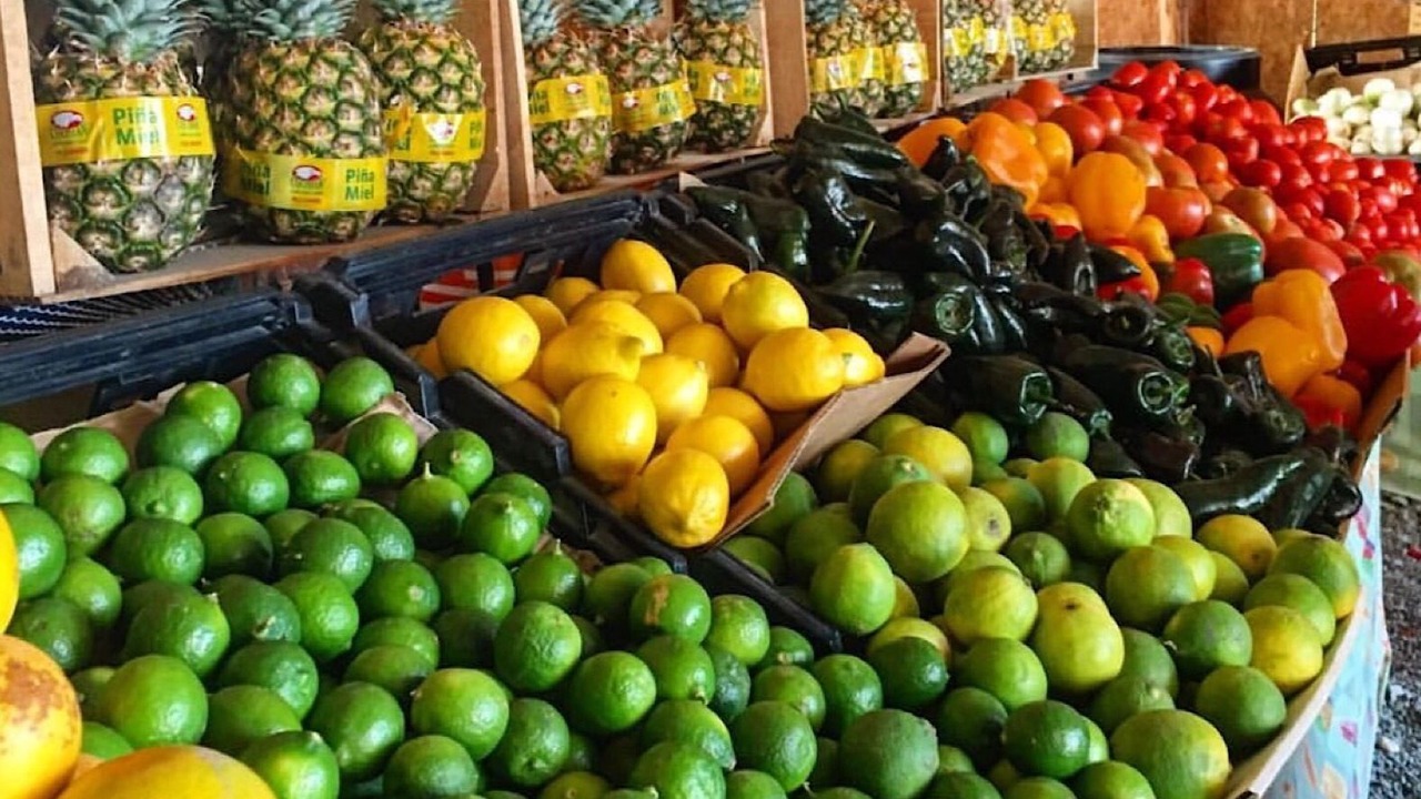 Photo of Others in Todos Santos