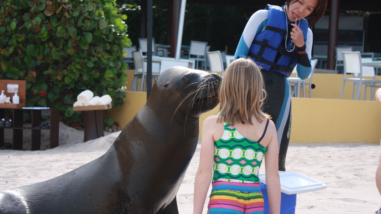 Photo of Others in Punta de Mita