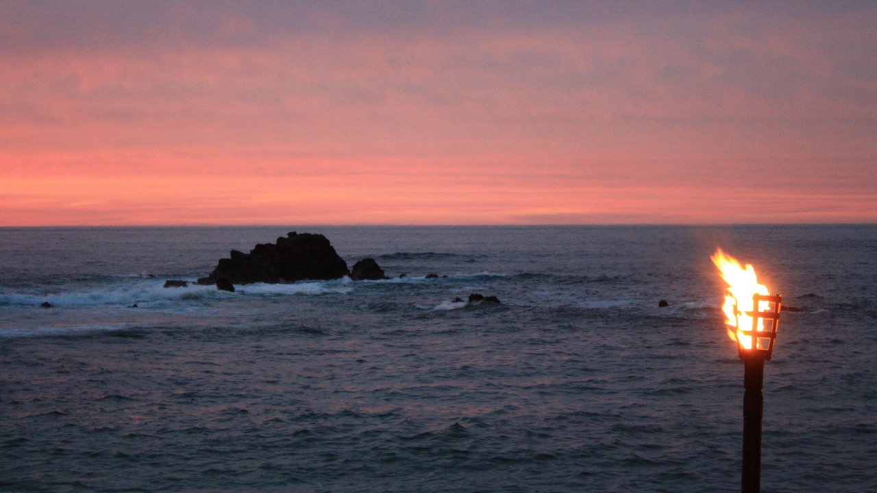 Photo of Others in Punta de Mita