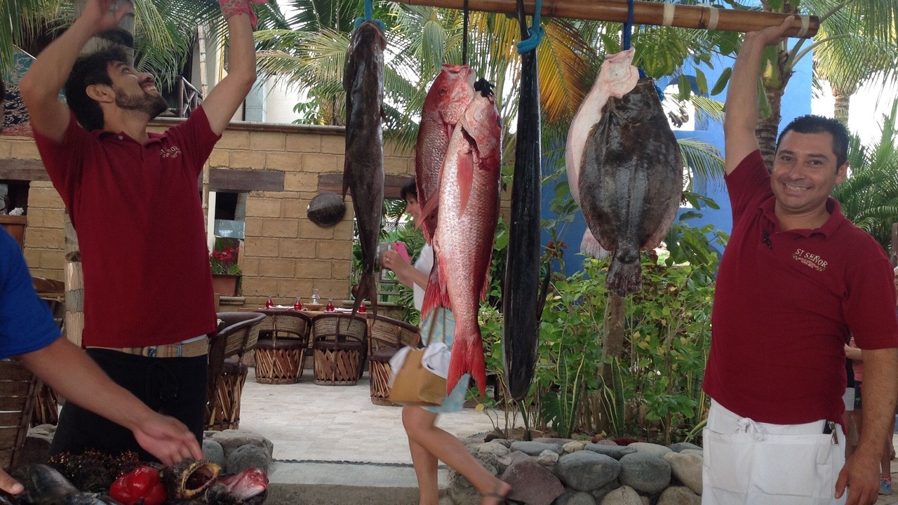 Photo of Others in Punta de Mita