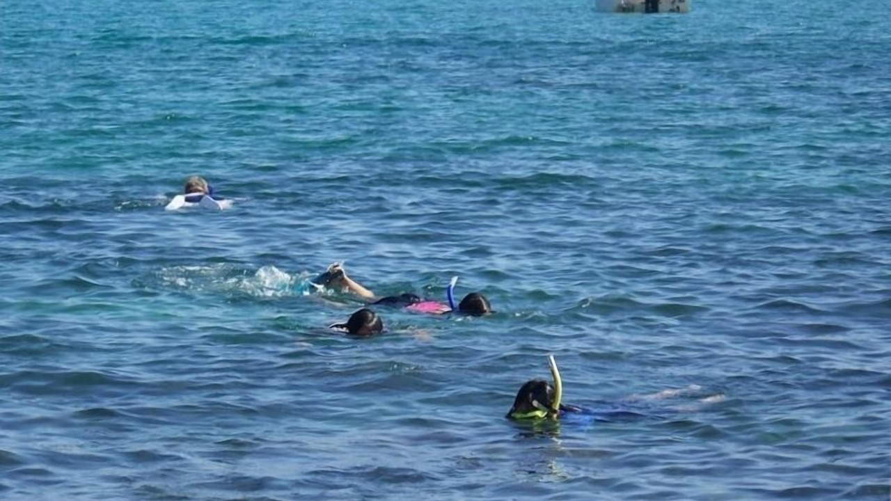 Photo of Others in Los Barriles