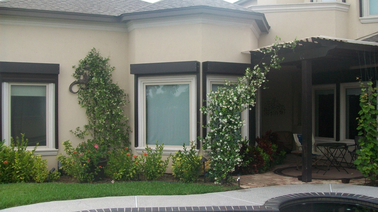 Photo of Outdoor in Laguna Vista