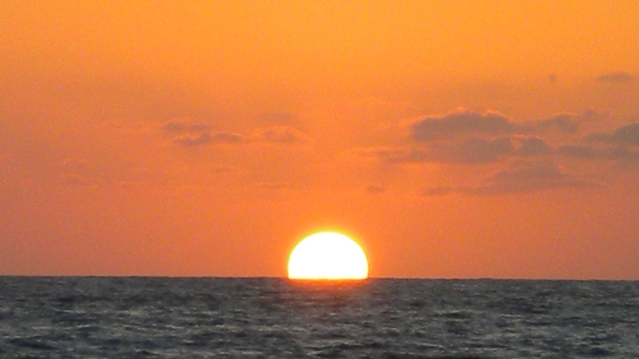 Photo of Others in Nuevo Vallarta