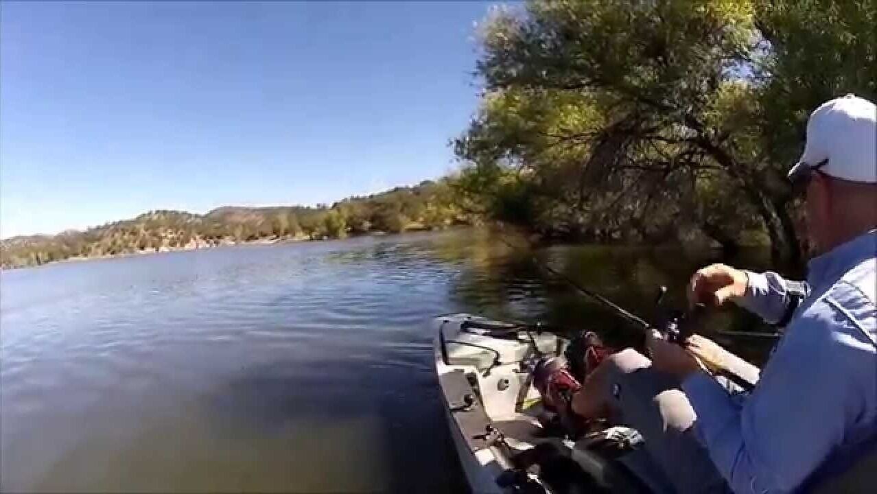 Photo of Others in Parker Strip