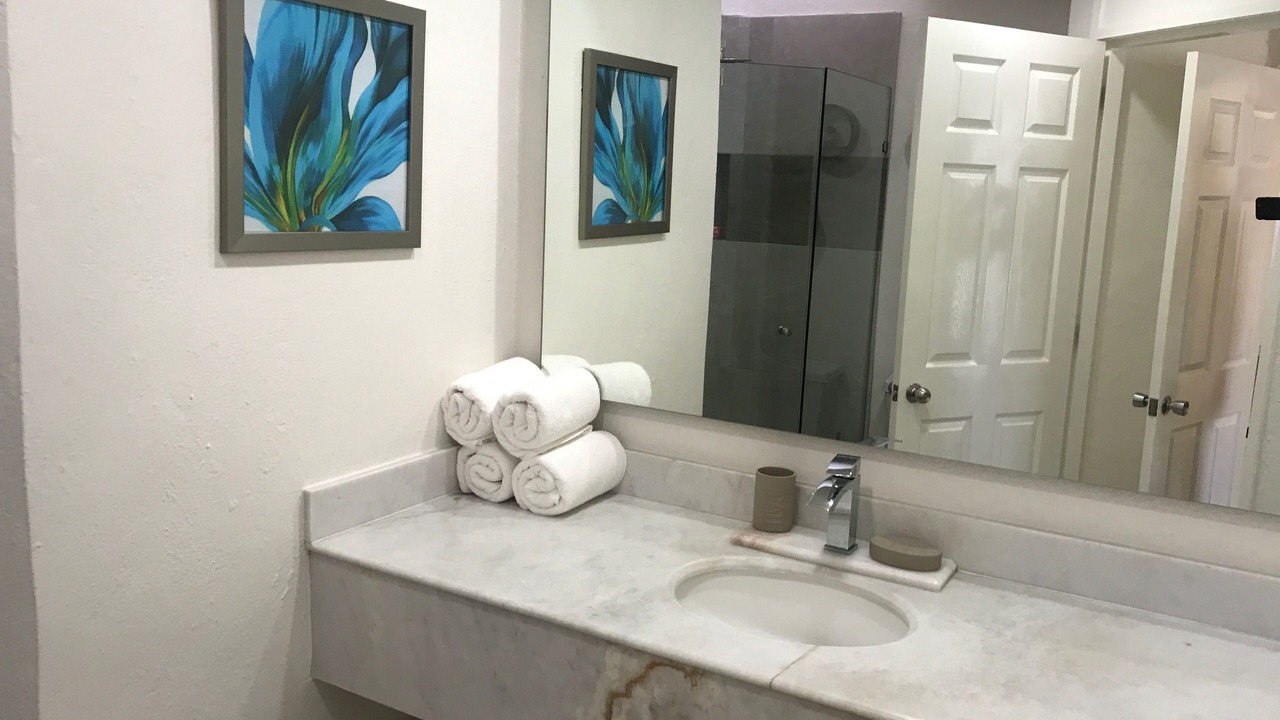Photo of Bathroom in Ixtapa