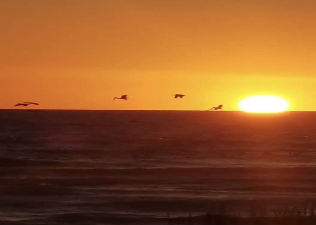 Photo of Others in Puerto Penasco