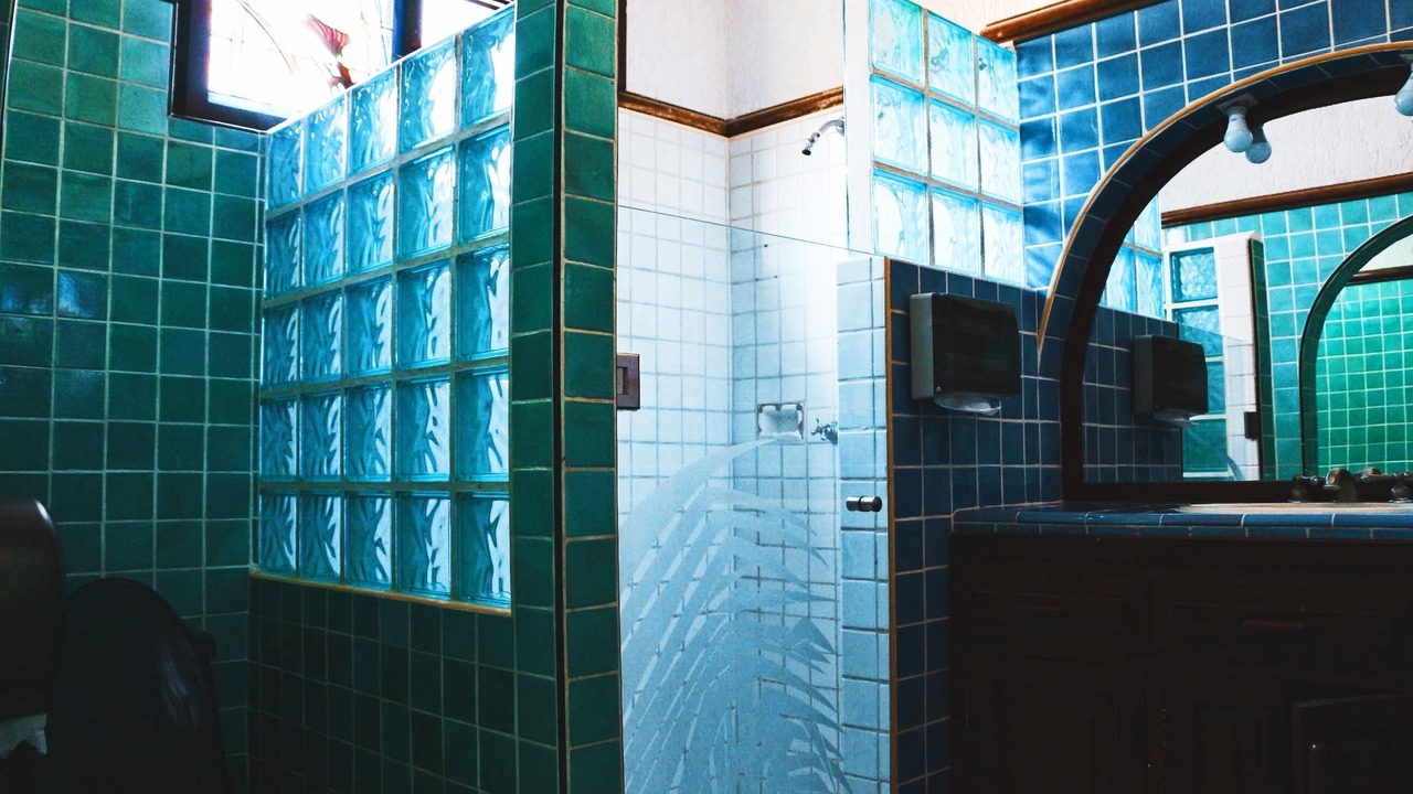 Photo of Bathroom in Alfredo V. Bonfil
