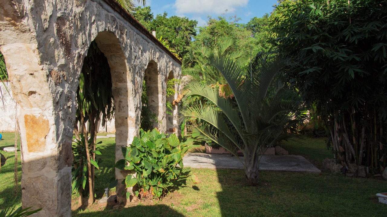 Photo of Outdoor in Alfredo V. Bonfil