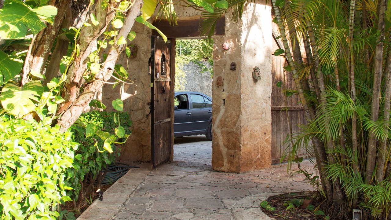 Photo of Outdoor in Alfredo V. Bonfil